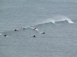 SX06998 Surfers paddling for wave at Bude.jpg
